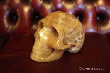 sedona skull by s v mitchell